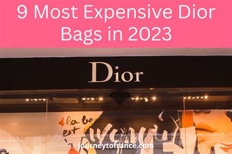 dior premium|most expensive dior bag.